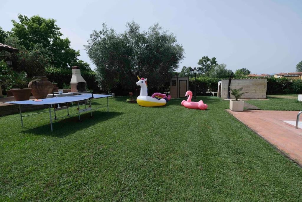 Villa Luxury Pool & Garden Pisa Esterno foto