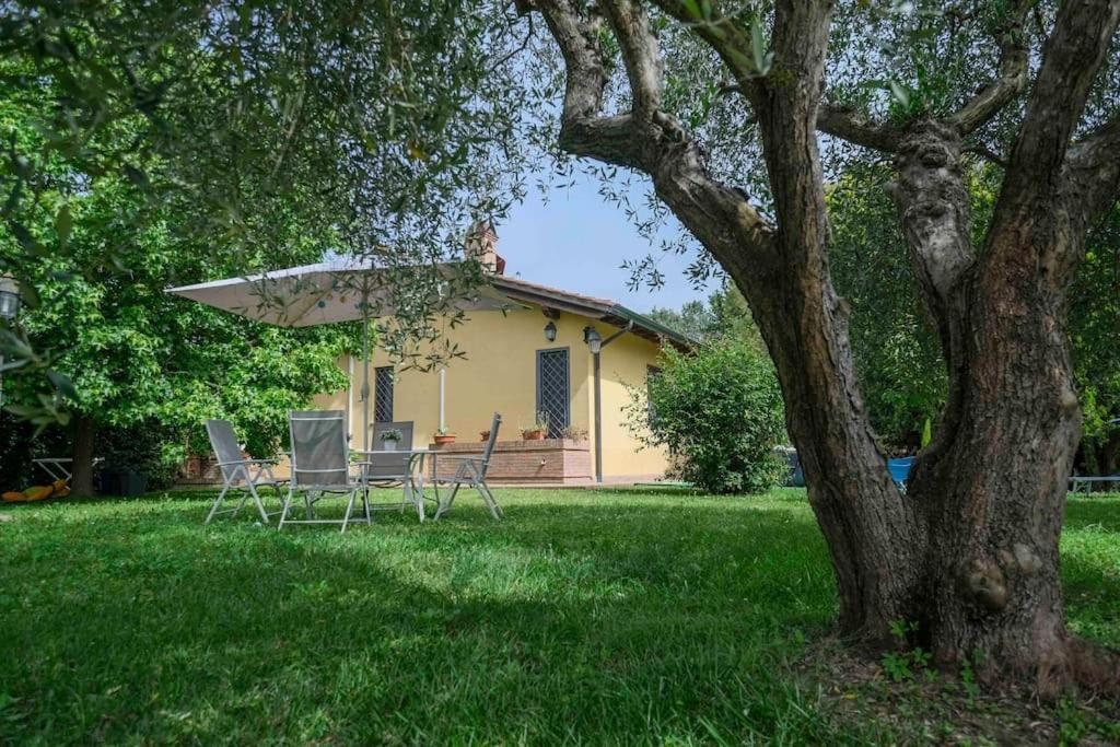 Villa Luxury Pool & Garden Pisa Esterno foto