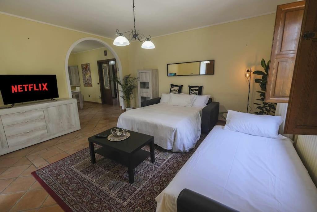 Villa Luxury Pool & Garden Pisa Esterno foto